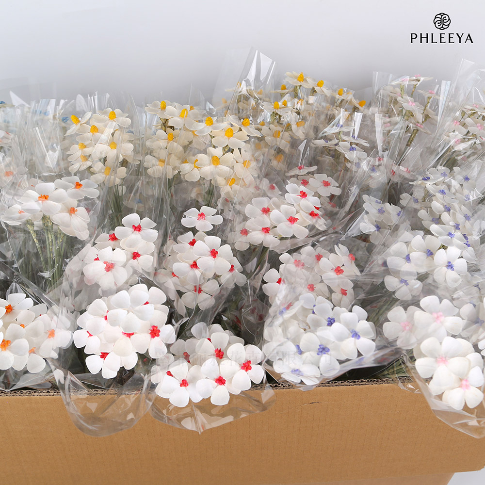 抖音上架产品合集永生花diy高级感成品花