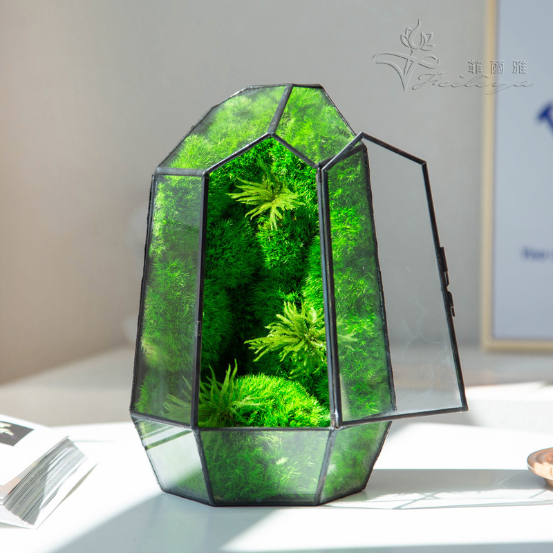永生花苔藓微缩景观情人节跨年礼物小礼品白发藓玻璃摆件定制礼品