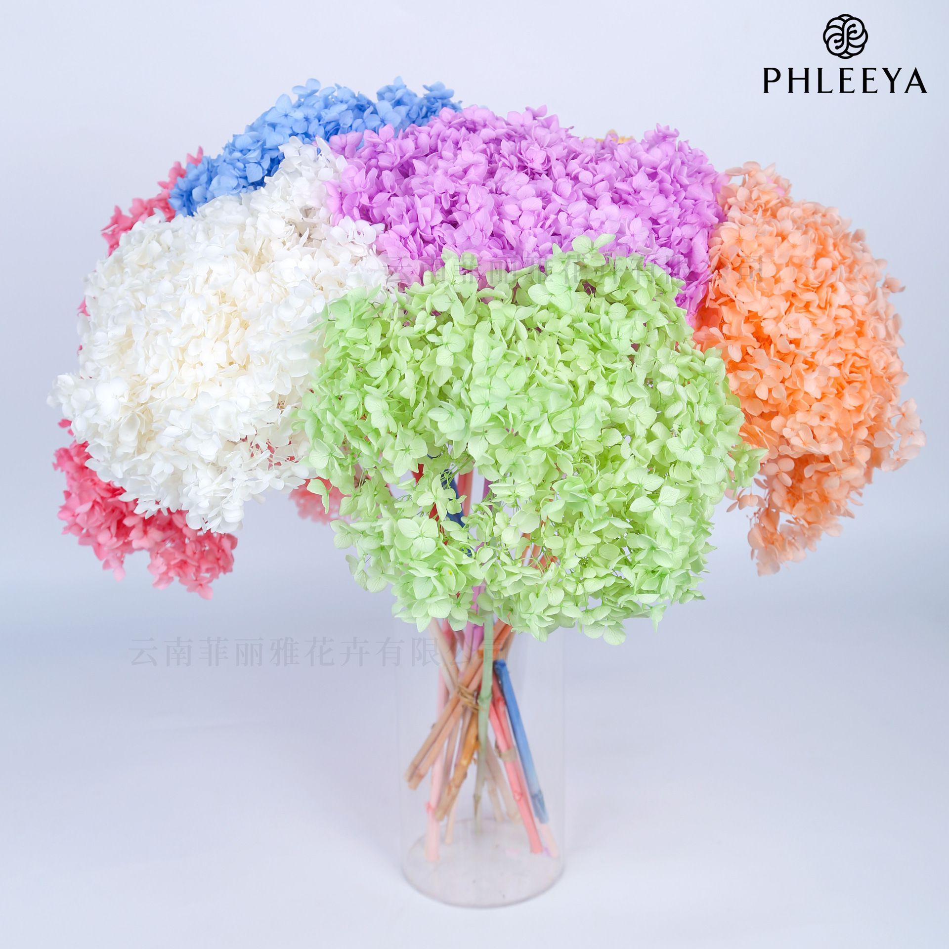 安娜绣球永生花干花仿真花家居装饰diy手工材料批发单只花朵