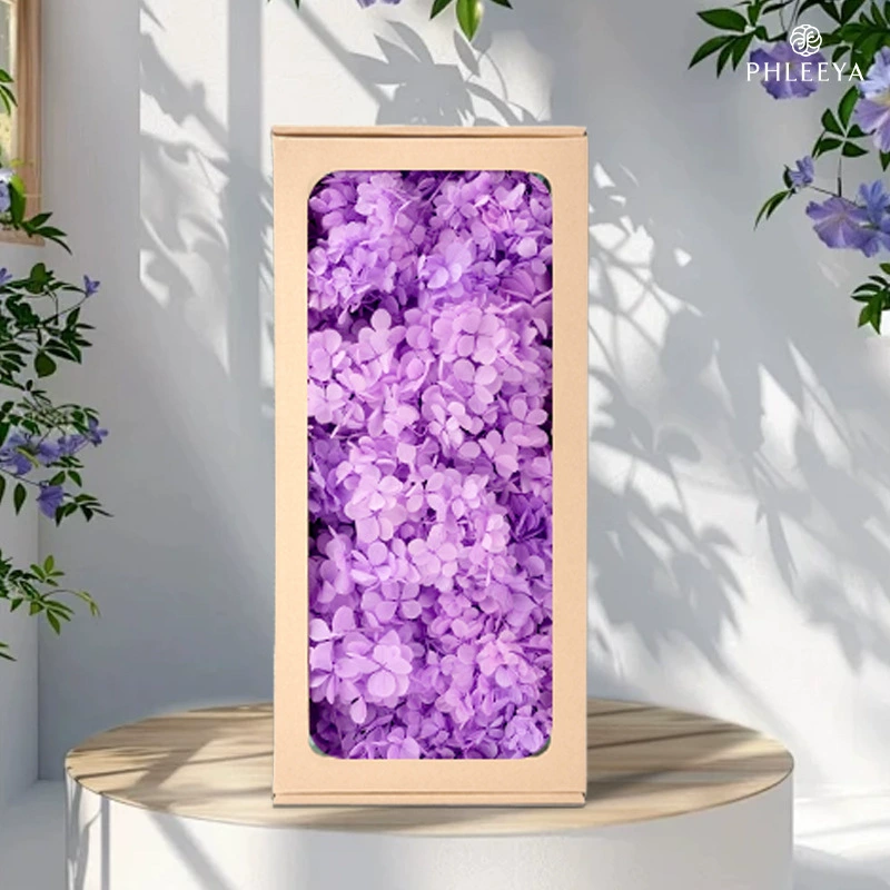 Hydrangea Series