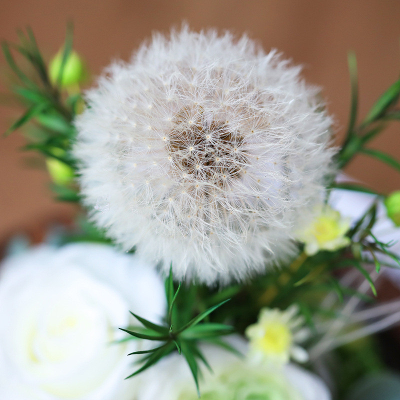 Preserved Roses and Dandelions in a Glass Dome—Ready-to-Give Valentine's Day Gift That Never Wilt