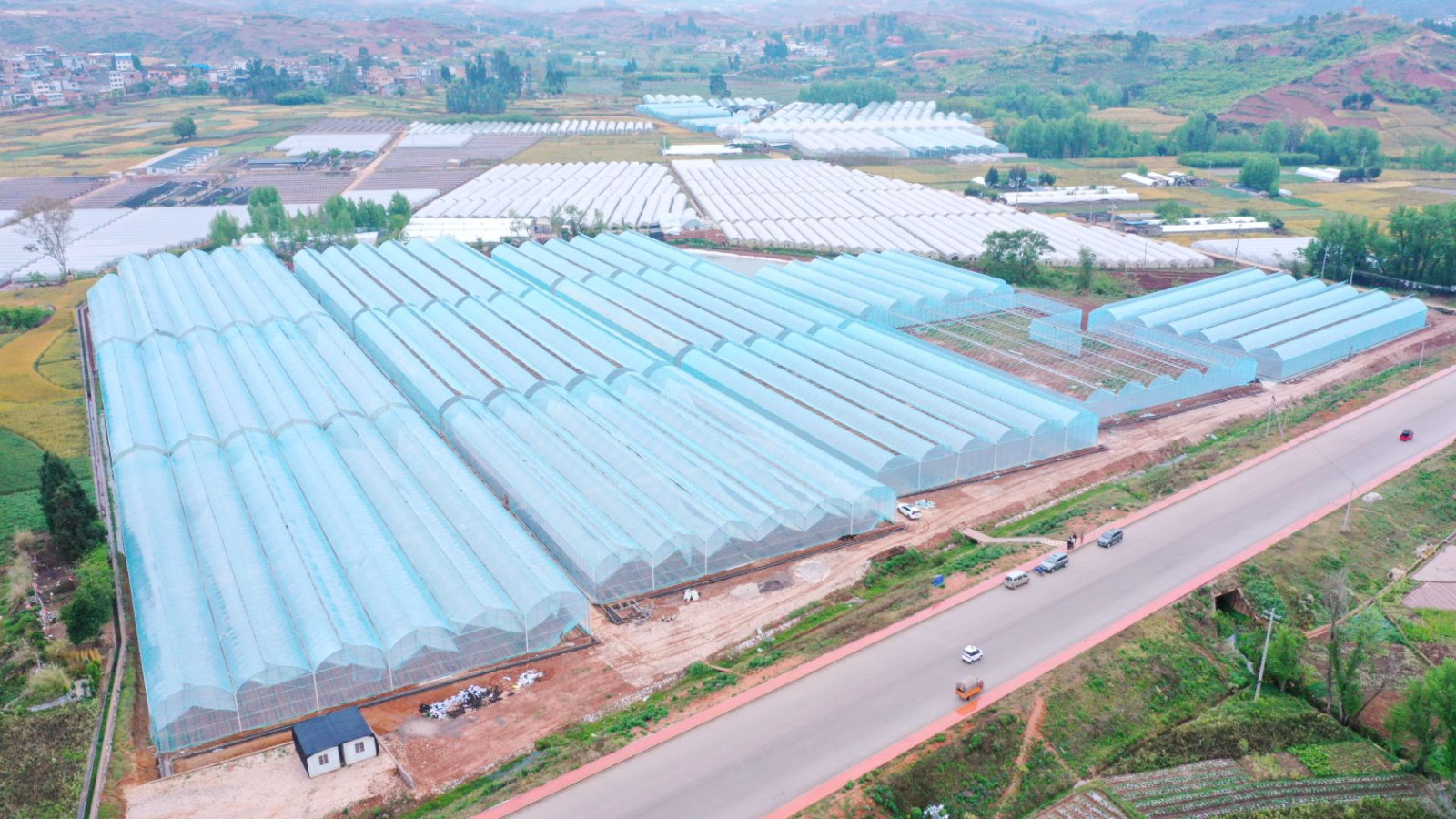 Yunnan Feiliya Flowers Co.,Ltd.
